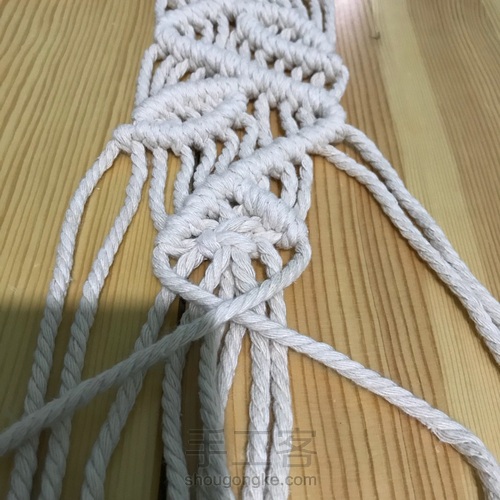 凉秋植物小挂兜 第29步