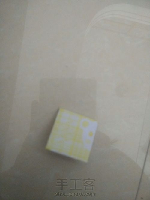 森女荷花 第5步