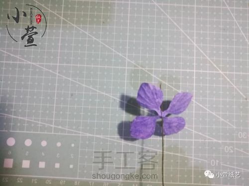 仿真纸艺绣球花教程,手把手教你做,可别说你不会哦。 第15步