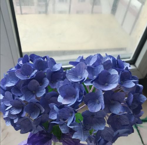 仿真纸艺绣球花教程,手把手教你做,可别说你不会哦。 第19步