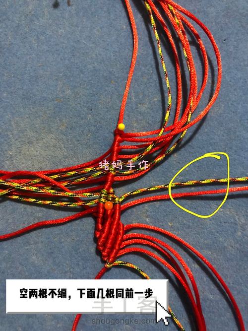 你若盛开,蝴蝶自来 第8步