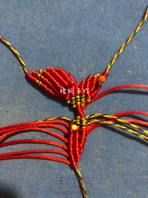 你若盛开,蝴蝶自来 第17步