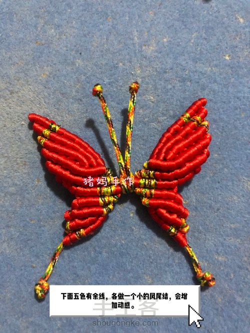 你若盛开,蝴蝶自来 第25步