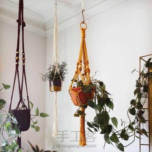 植物吊篮 第5步