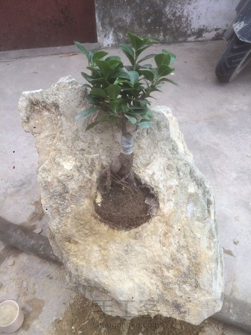 山石之间 第9步