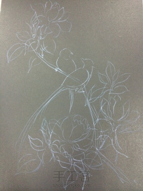 原创欧式彩绘--玉兰花与寿带 第1步