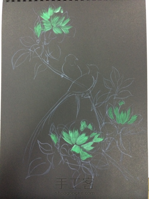 原创欧式彩绘--玉兰花与寿带 第2步