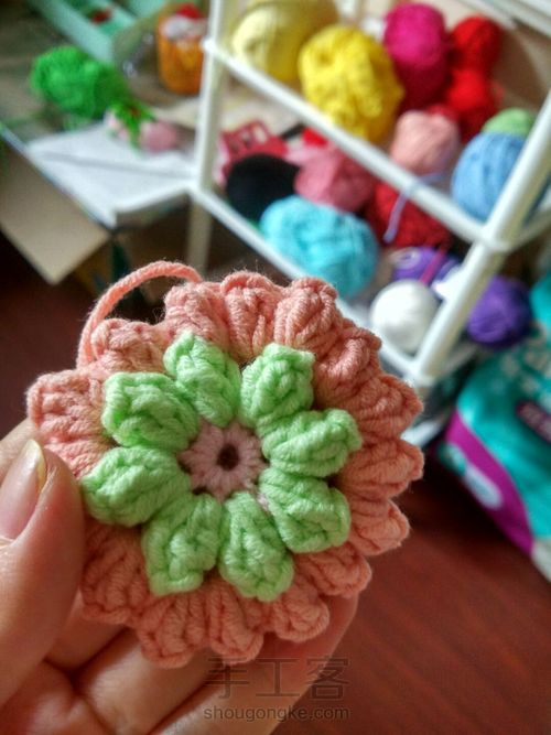 万能单元花 第16步