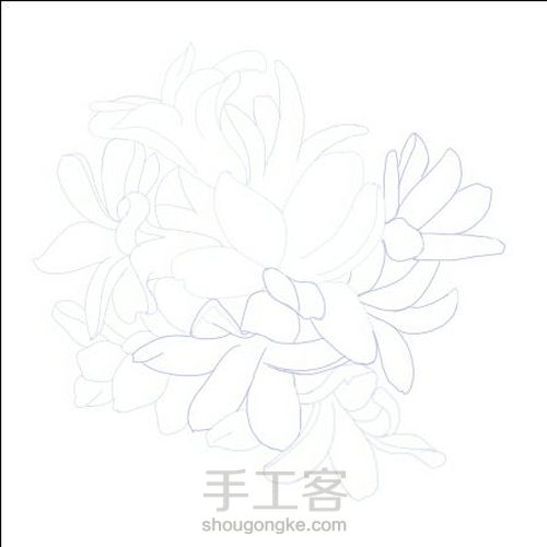 手绘窗台上的风信子 第1步