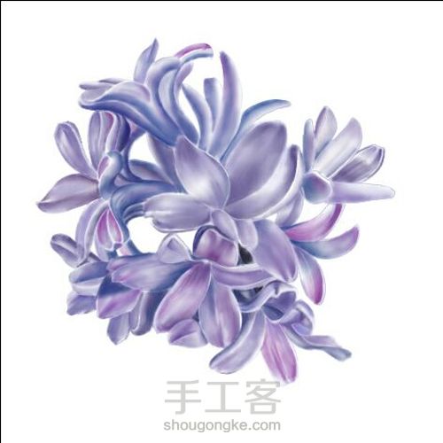 手绘窗台上的风信子 第4步