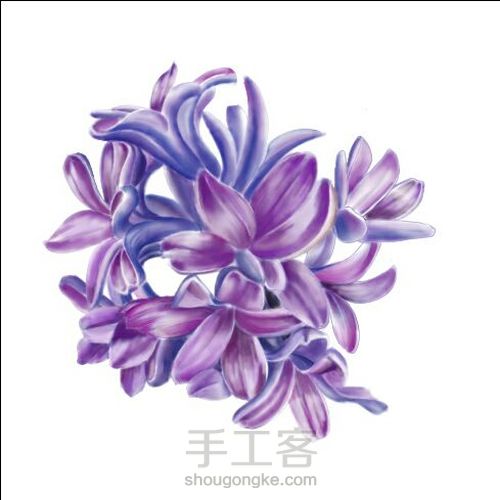 手绘窗台上的风信子 第5步