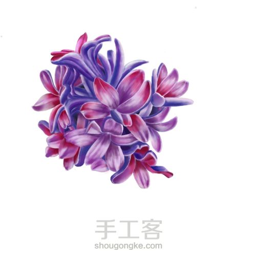 手绘窗台上的风信子 第6步