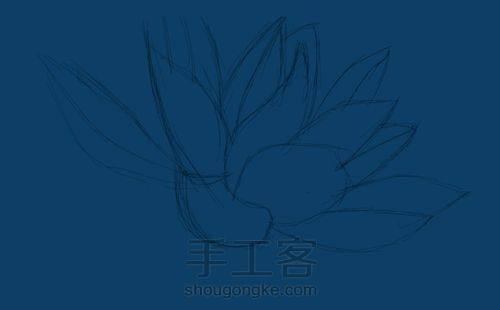 手绘 莲 第1步
