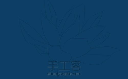 手绘 莲 第3步