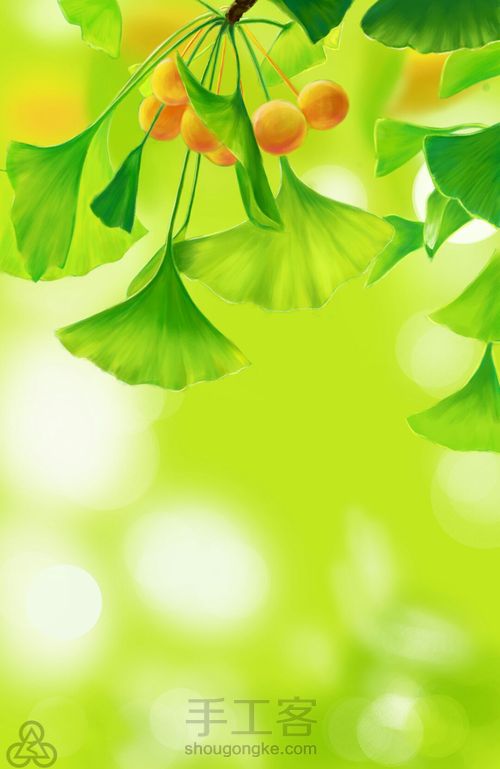 手绘小清新 银杏 第11步