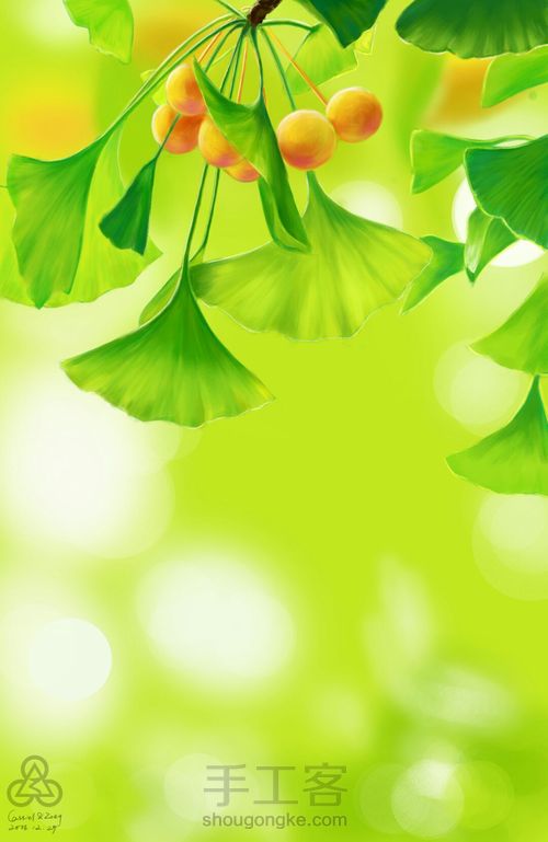 手绘小清新 银杏 第12步