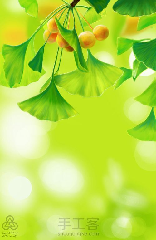 手绘小清新 银杏 第13步