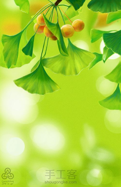 手绘小清新 银杏 第14步