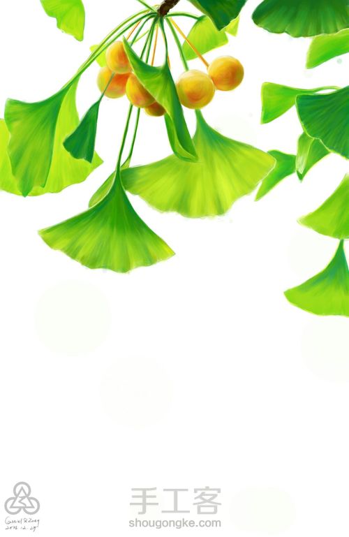 手绘小清新 银杏 第15步