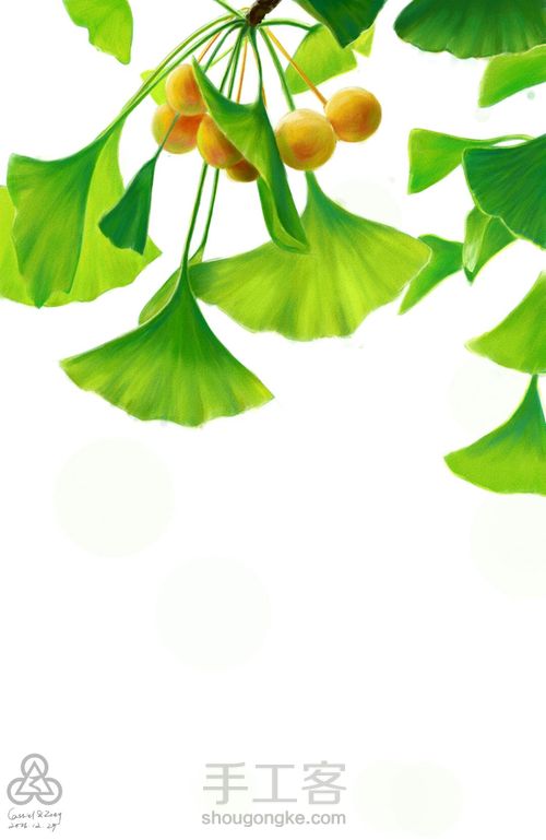 手绘小清新 银杏 第16步
