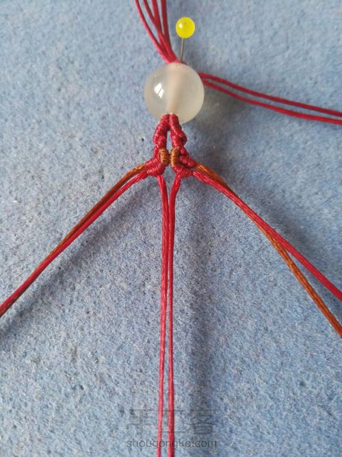 春雨观花 第14步