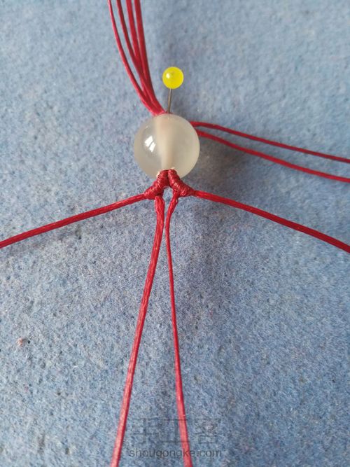 春雨观花 第8步