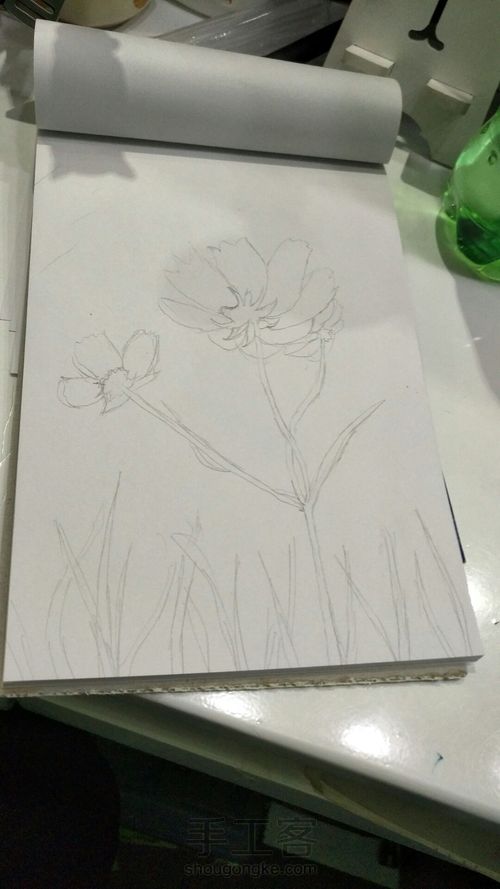 马克笔花 第2步