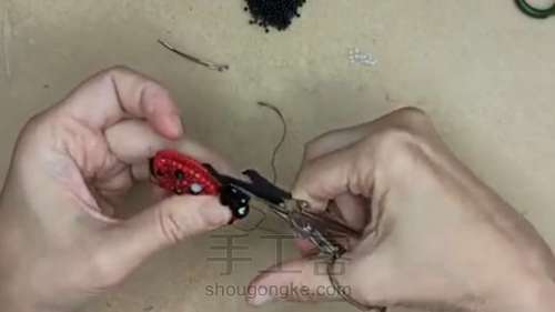 瓢虫胸针 第13步