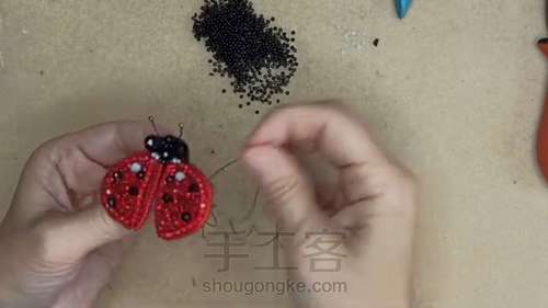 瓢虫胸针 第25步