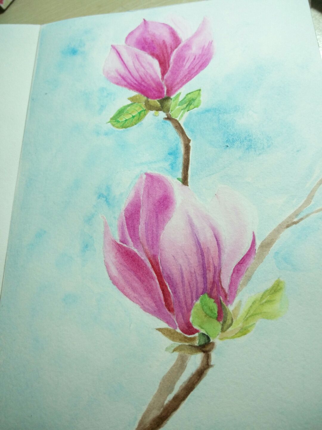 玉兰花的花朵有粉色，紫色，白色的，今天来手绘一朵粉紫色的玉兰花