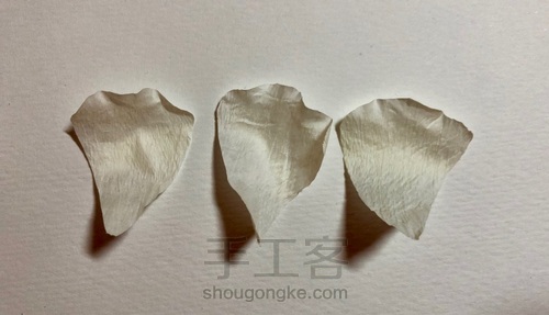 【原创】纸藤手作染色系洋桔梗 原创教程 原创不易 请勿转载 第6步