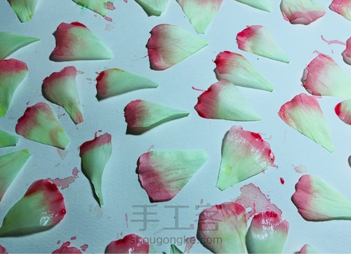 【原创】纸藤手作染色系洋桔梗 原创教程 原创不易 请勿转载 第9步