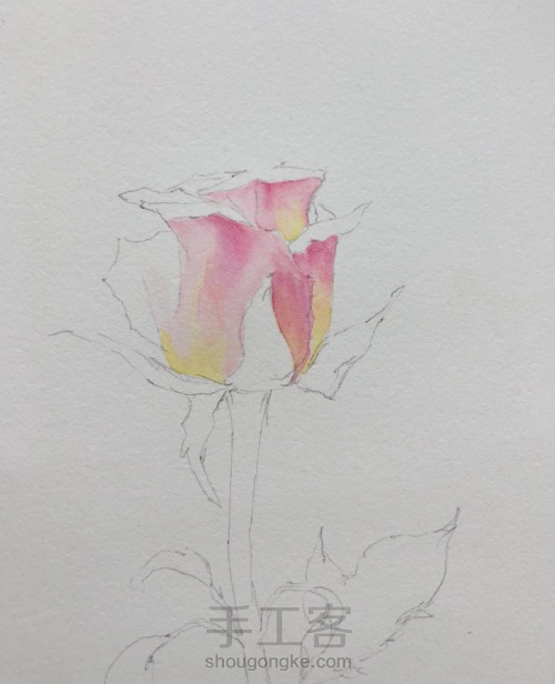 【原创】水彩手绘玫瑰花 原创教程，请勿转载 素材来源于网络 第2步