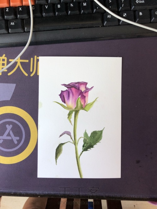 【原创】水彩手绘玫瑰花 原创教程，请勿转载 素材来源于网络 第10步