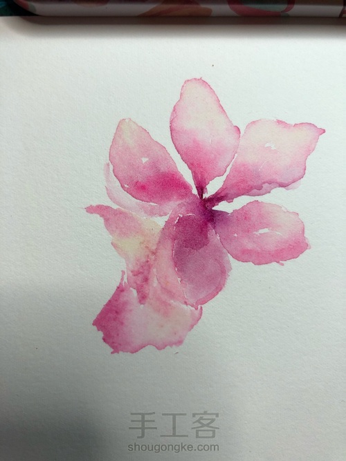【原创】零基础古风水彩桃花 第4步