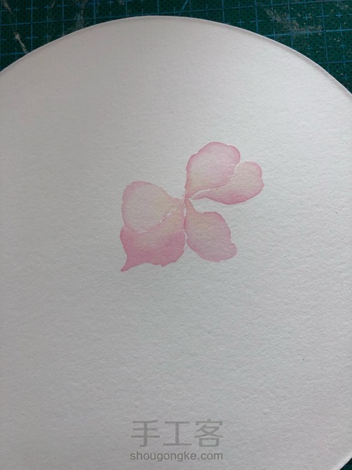【原创】零基础水彩手绘古风海棠花 第3步