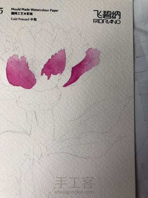 【原创】水彩芍药花 第3步