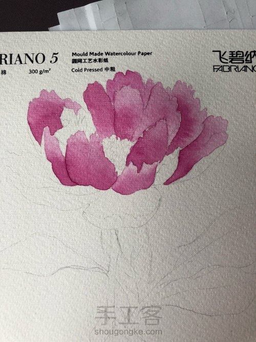 【原创】水彩芍药花 第5步