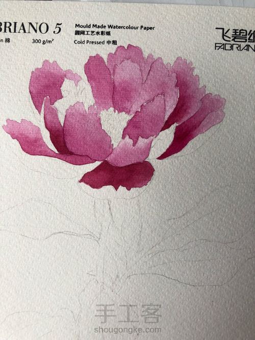 【原创】水彩芍药花 第6步