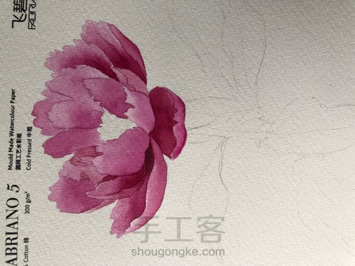 【原创】水彩芍药花 第7步