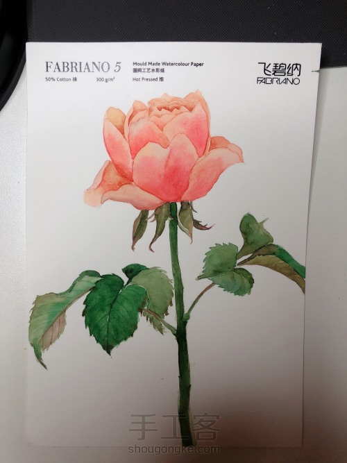【原创】水彩手绘玫瑰花 第23步