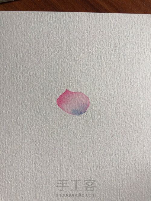 水彩古风荷花 第3步