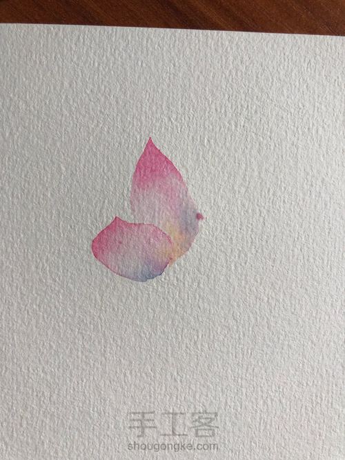 水彩古风荷花 第5步