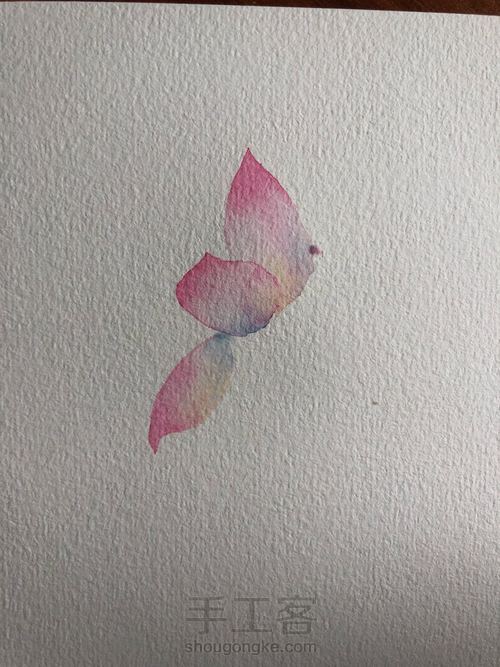 水彩古风荷花 第6步