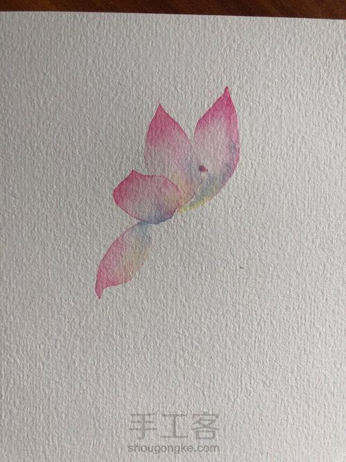 水彩古风荷花 第7步