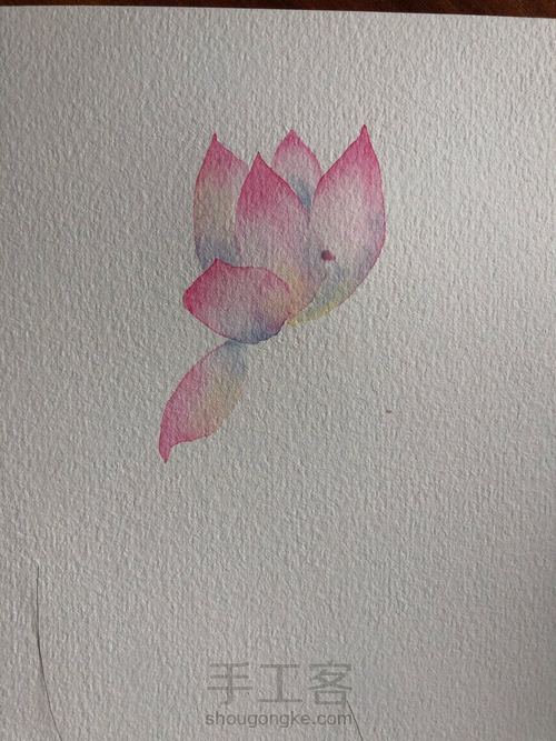 水彩古风荷花 第8步