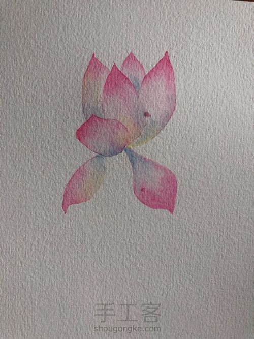 水彩古风荷花 第9步