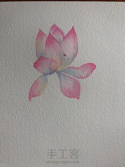 水彩古风荷花 第10步