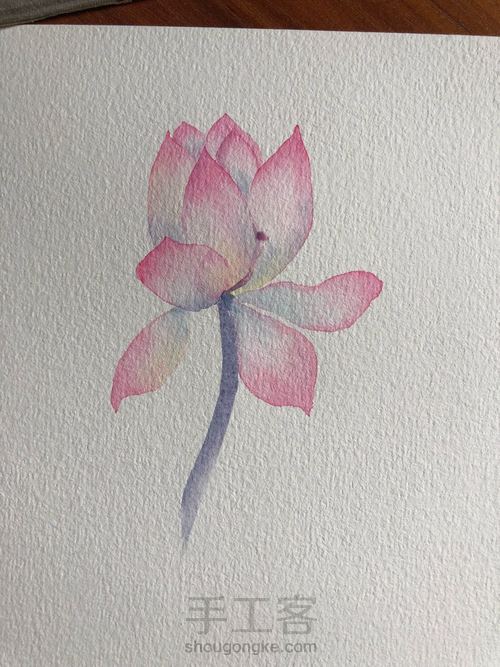 水彩古风荷花 第11步