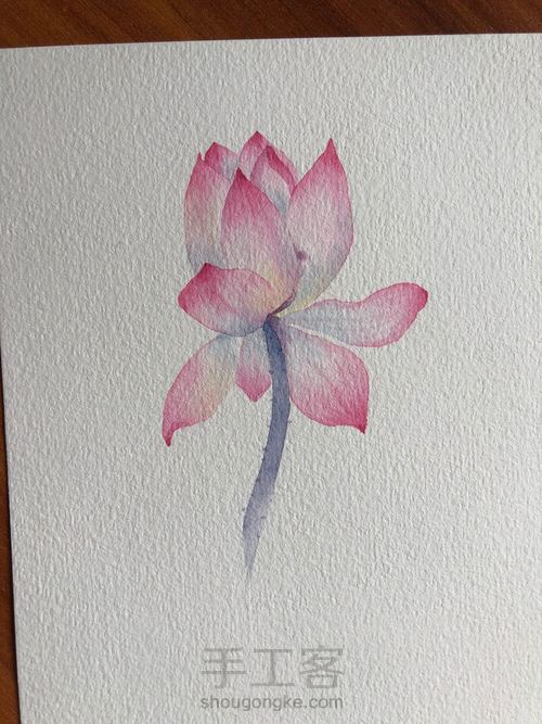 水彩古风荷花 第12步